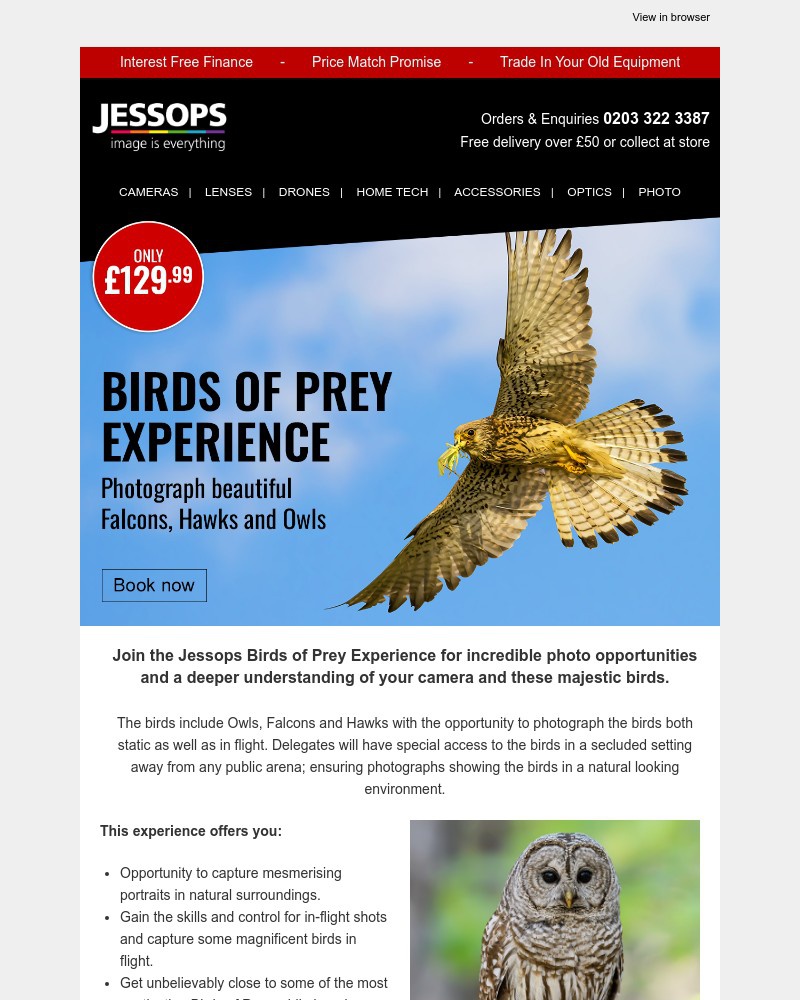 Screenshot of email with subject /media/emails/get-up-close-and-personal-with-birds-of-prey-015d54-cropped-b9090bfe.jpg