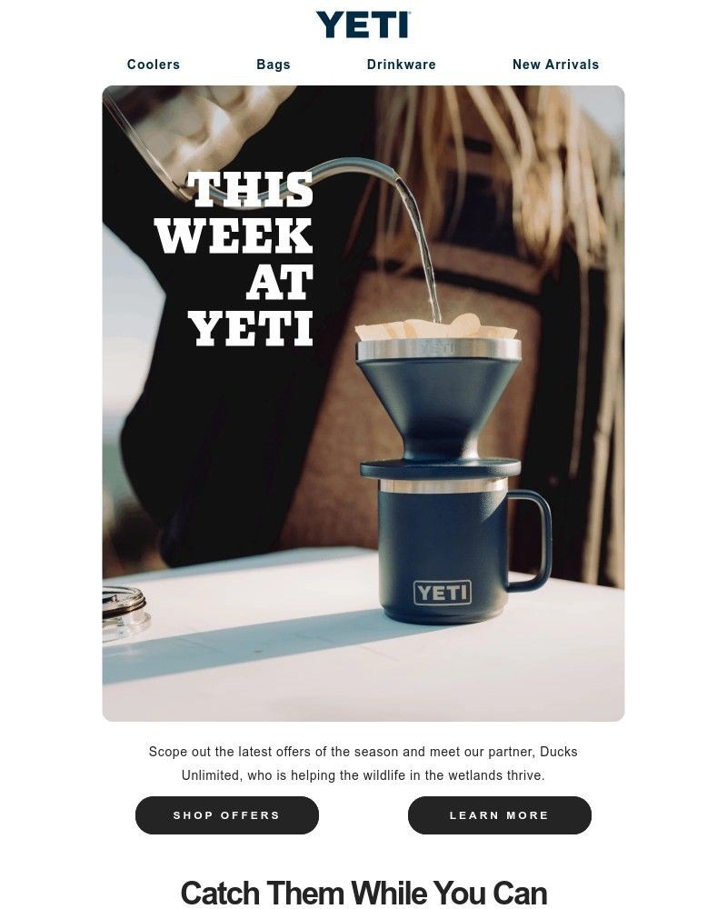 Screenshot of email sent to a Yeti Newsletter subscriber
