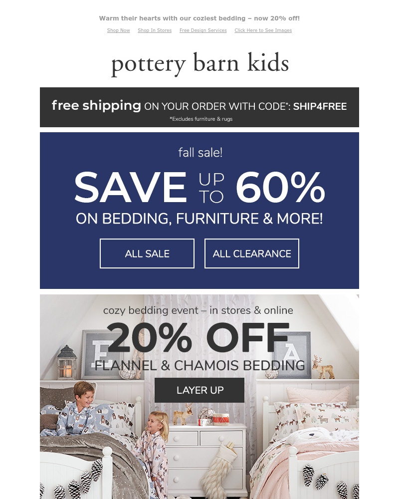 Screenshot of email with subject /media/emails/get-up-to-60-off-complimentary-shipping-cropped-1666bfdb.jpg