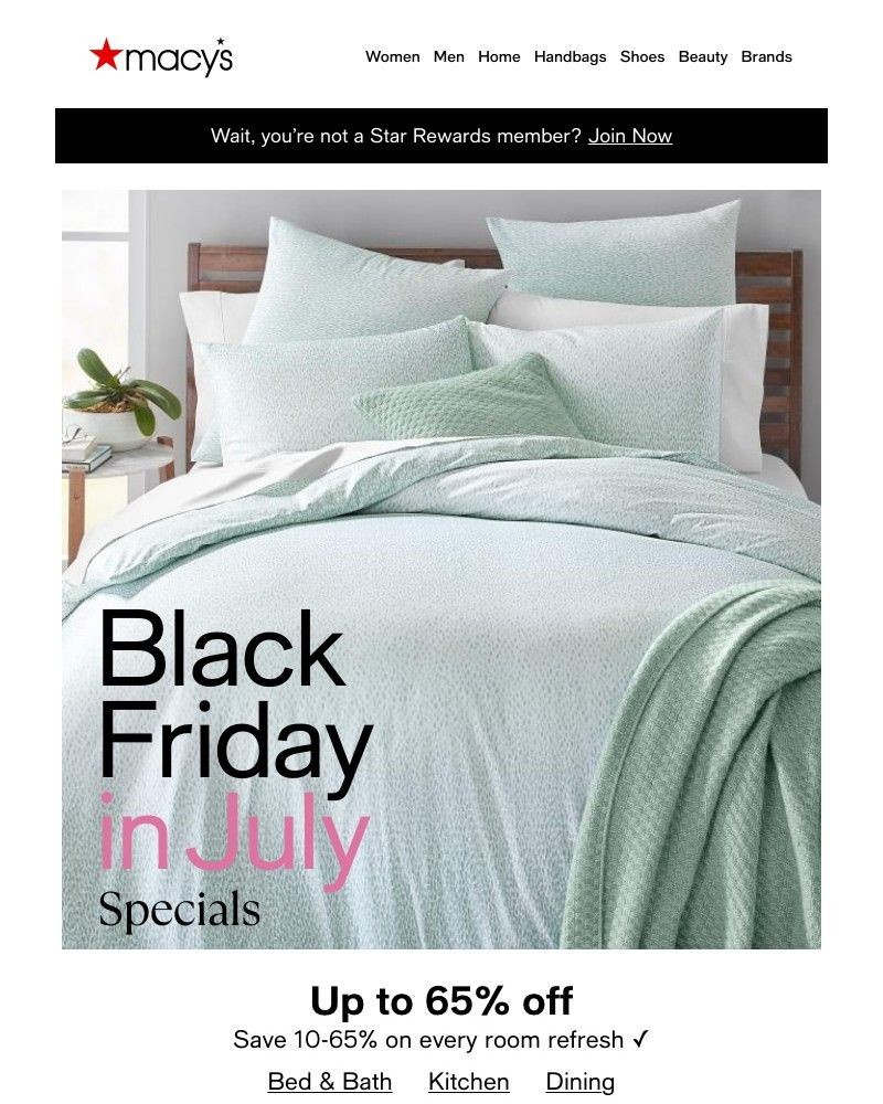 Screenshot of email with subject /media/emails/get-up-to-65-off-for-the-whole-during-black-friday-in-july-f1622e-cropped-83a5fcac.jpg