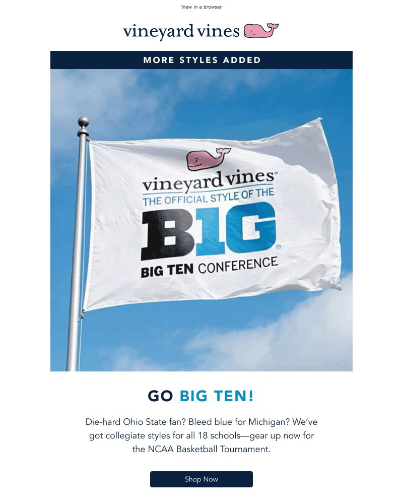 Screenshot of email with subject /media/emails/get-your-big-ten-gear-in-time-for-the-tourney-6d2c06-cropped-bcb75ee7.jpg