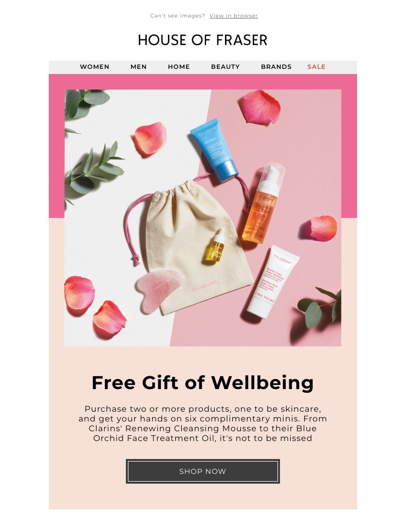 Screenshot of email with subject /media/emails/get-your-free-clarins-gift-a29aad-cropped-b0691406.jpg