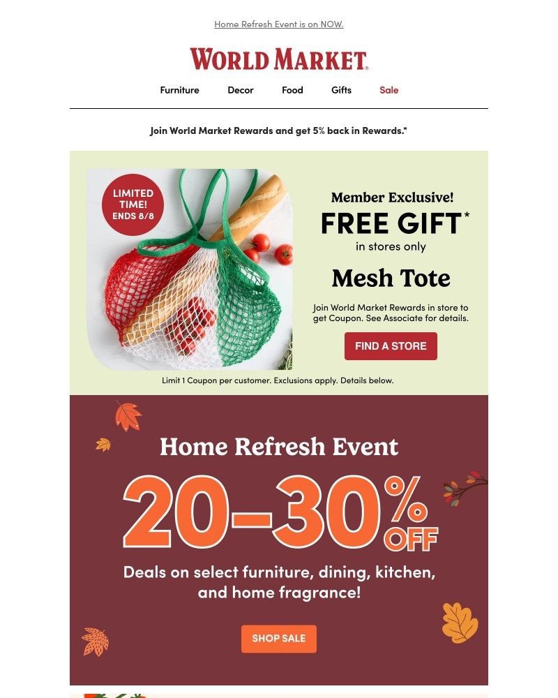 Screenshot of email with subject /media/emails/get-your-free-mesh-tote-49b97f-cropped-0c169f83.jpg