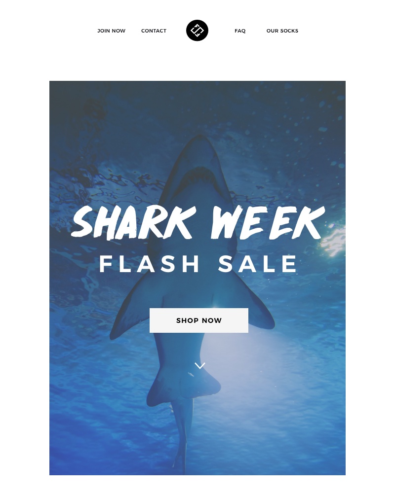 Screenshot of email with subject /media/emails/get-your-jaws-on-this-shark-week-sale-25-off-cropped-faaa3b57.jpg