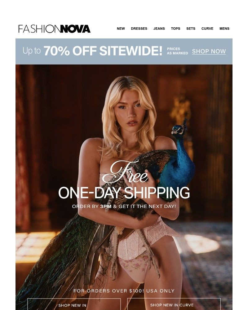 Screenshot of email with subject /media/emails/get-your-order-tomorrow-9edeaf-cropped-31070870.jpg