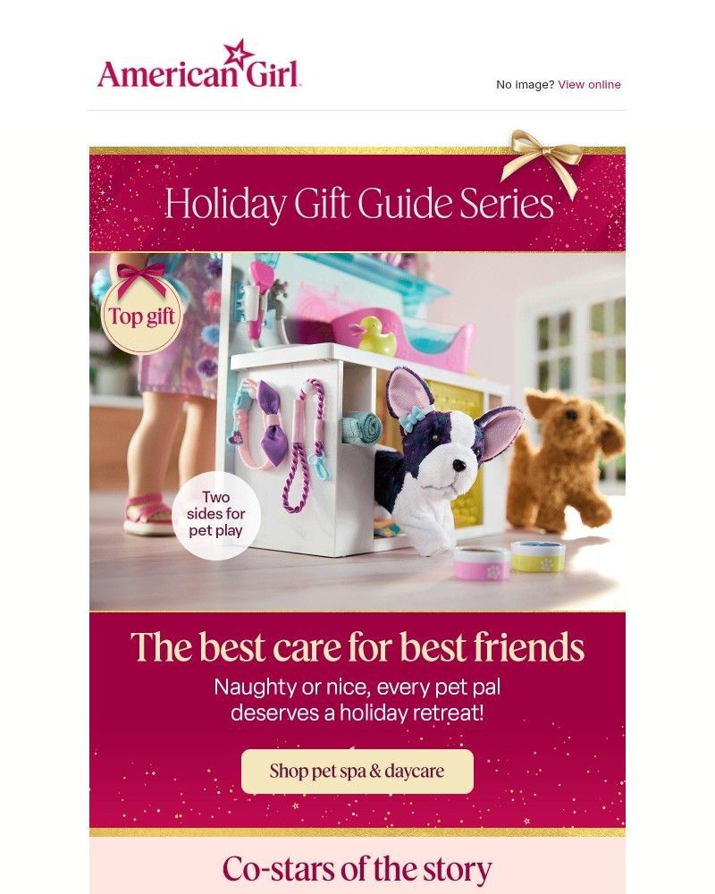 Screenshot of email with subject /media/emails/get-your-paws-on-top-pet-presents-ffa744-cropped-3709844a.jpg