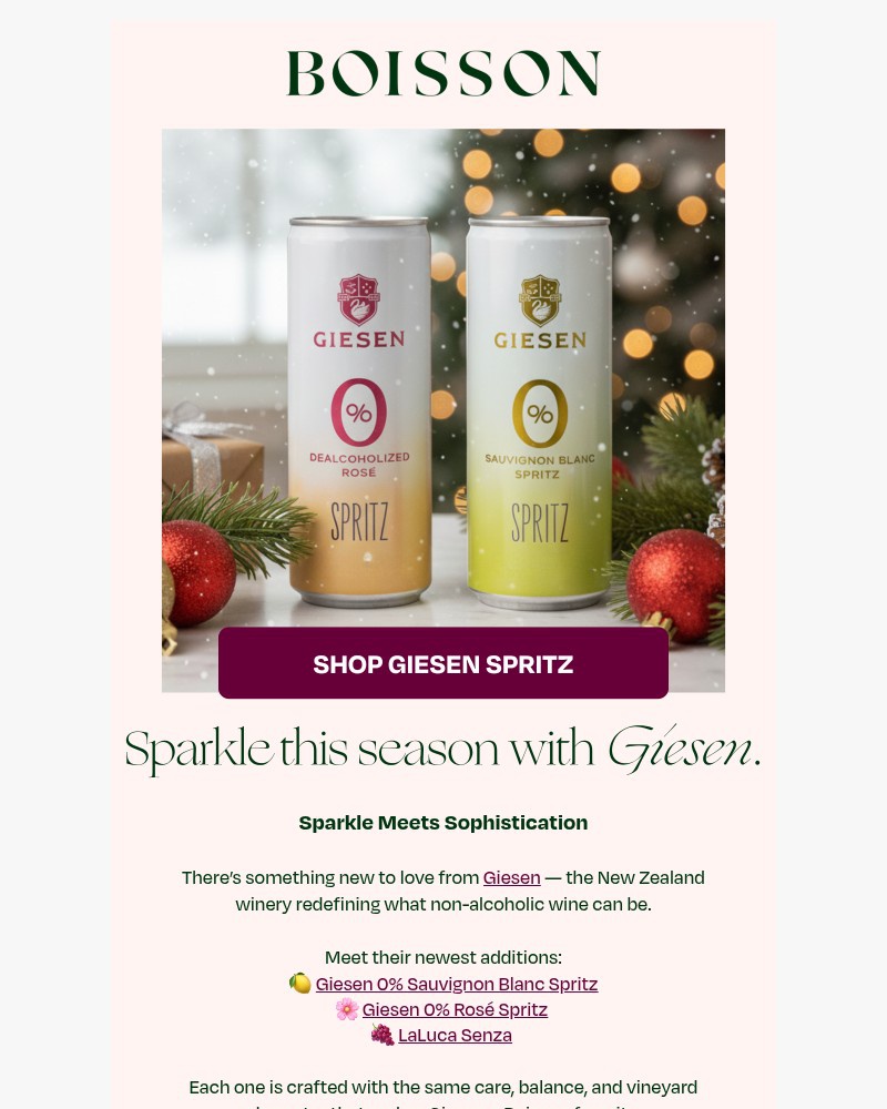 Screenshot of email sent to a Boisson Newsletter subscriber