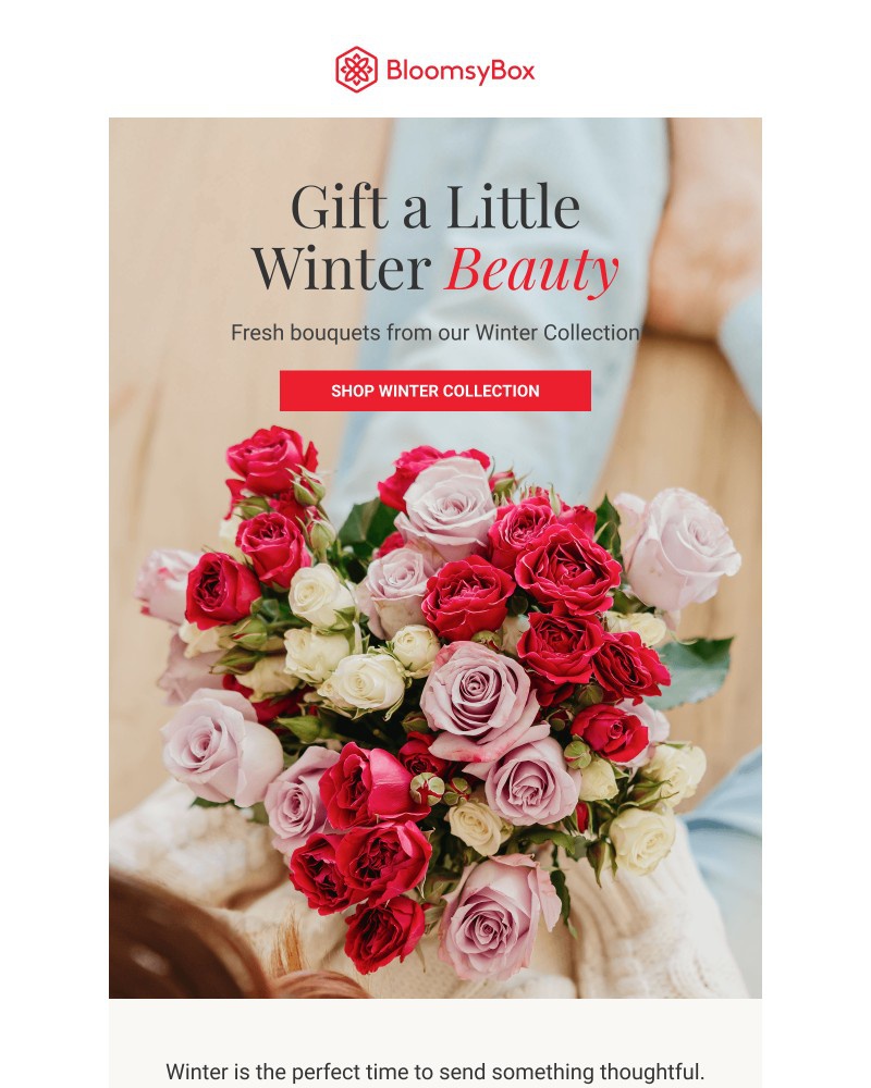 Screenshot of email sent to a Chococurb Newsletter subscriber