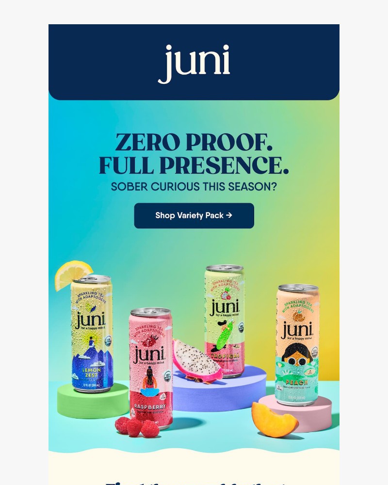 Screenshot of email sent to a Juni Newsletter subscriber