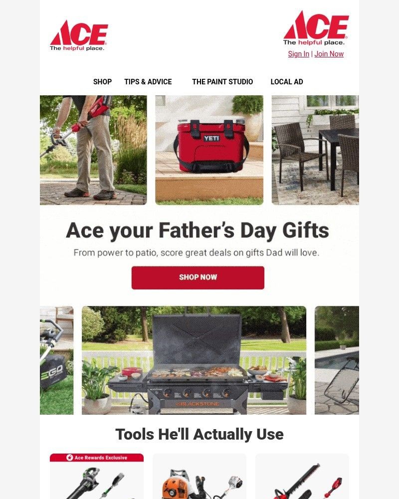 Screenshot of email sent to a Ace Hardware Newsletter subscriber