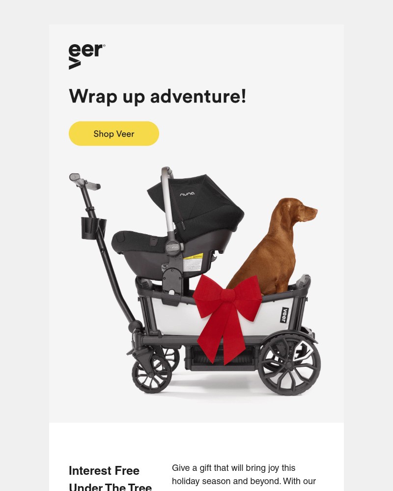 Screenshot of email sent to a Veer Newsletter subscriber