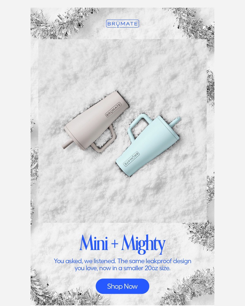 Screenshot of email sent to a BruMate Newsletter subscriber