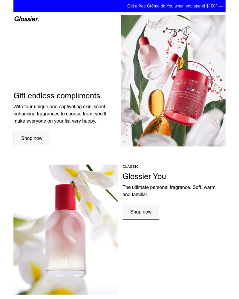 Screenshot of email with subject /media/emails/gift-them-endless-compliments-cf611d-cropped-f80eb3ba.jpg