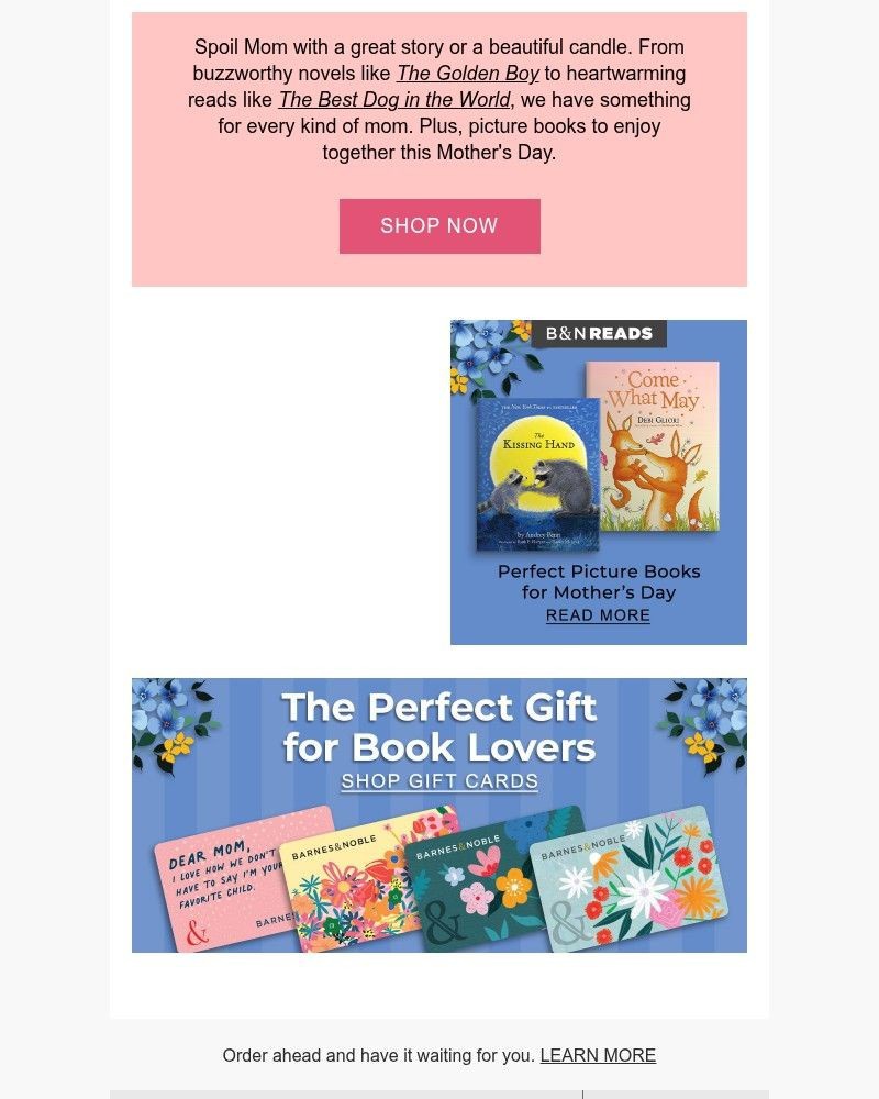 Screenshot of email sent to a Barnes and Noble Newsletter subscriber
