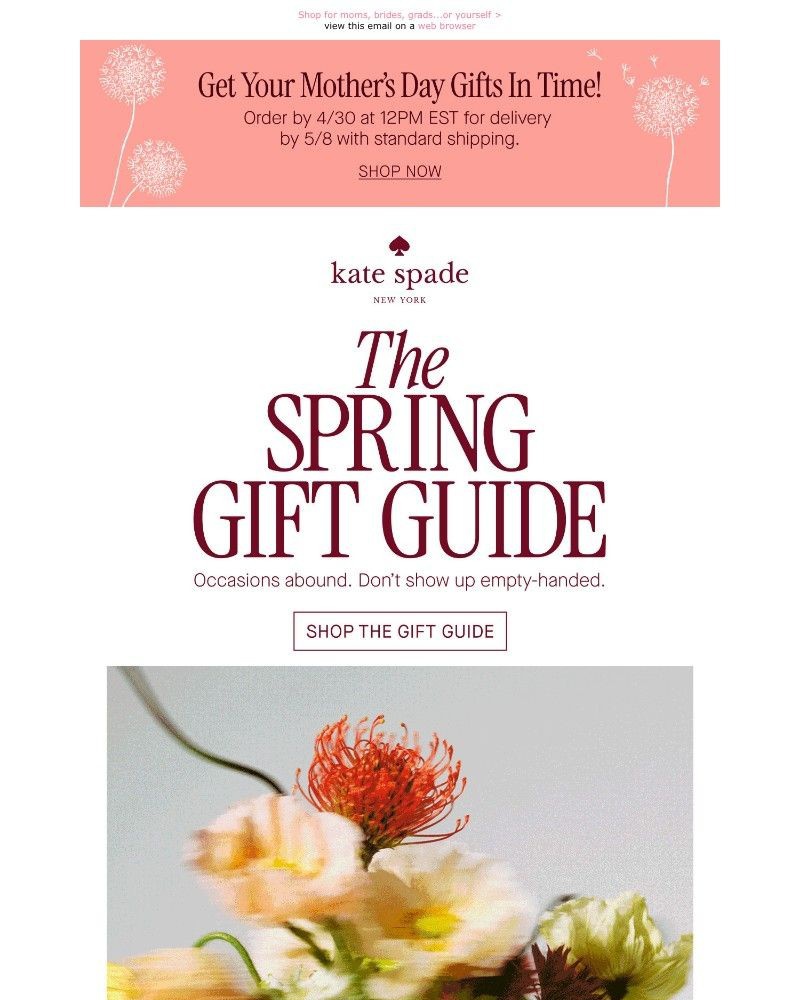 Screenshot of email with subject /media/emails/gifts-for-every-spring-moment-55d57e-cropped-79763204.jpg
