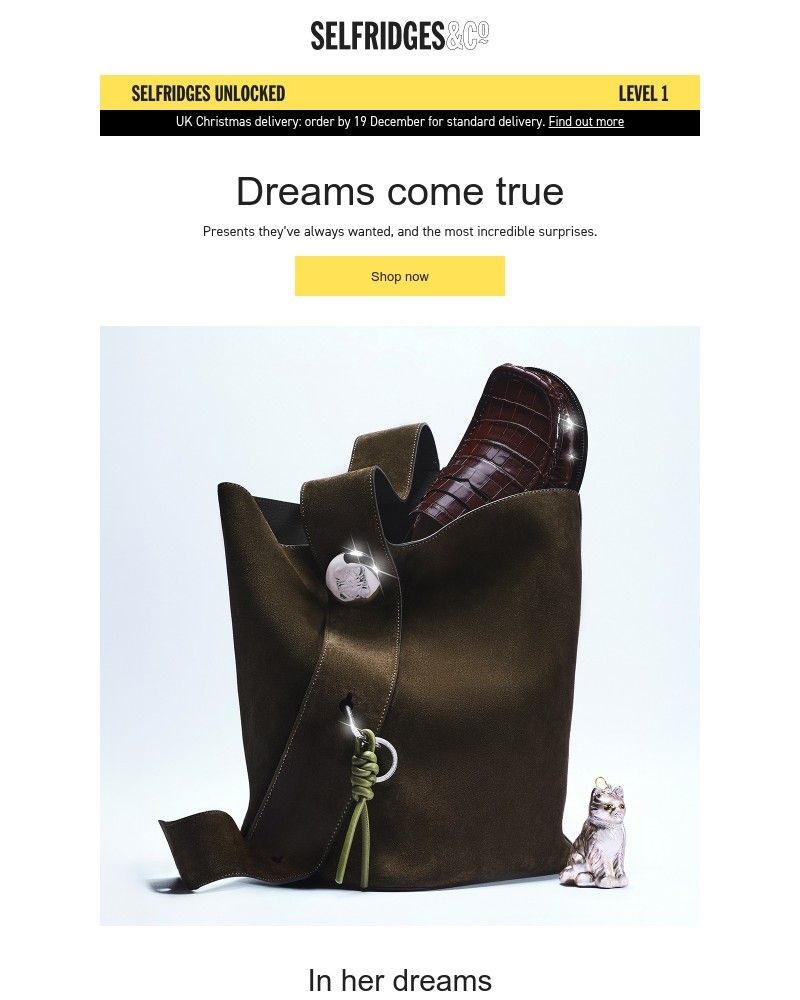 Screenshot of email sent to a Selfridges Newsletter subscriber
