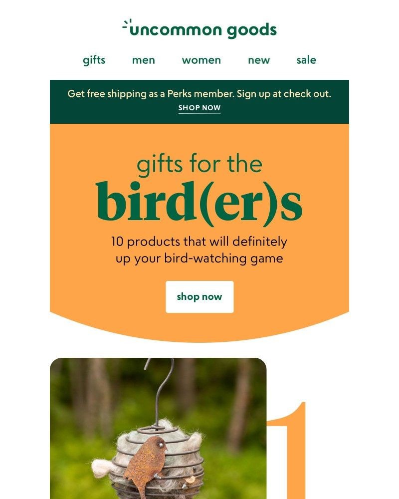 Screenshot of email with subject /media/emails/gifts-for-the-birders-b196dd-cropped-10c8be2d.jpg