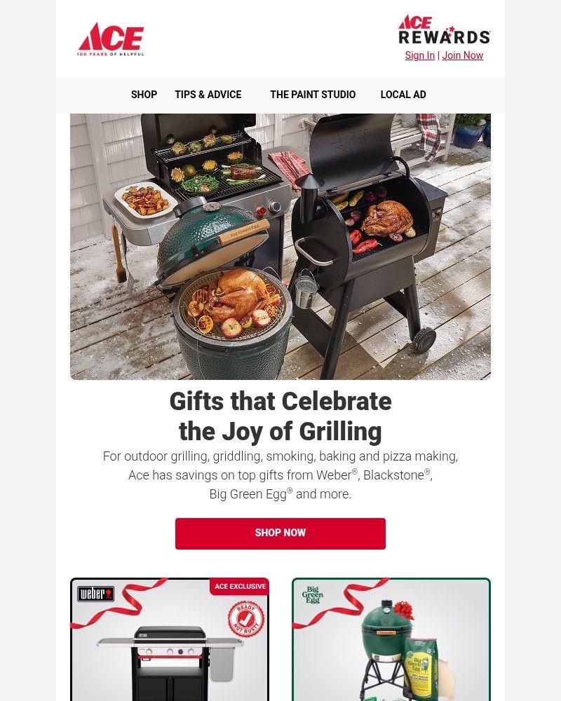 Screenshot of email sent to a Ace Hardware Newsletter subscriber