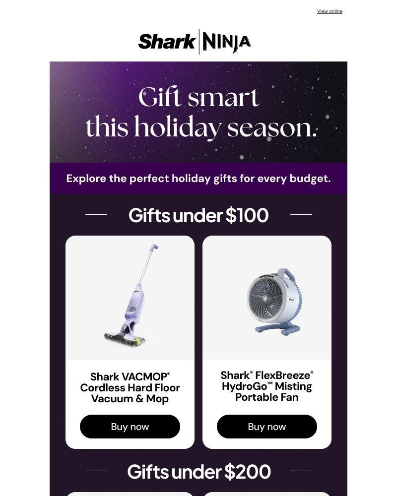 Screenshot of email with subject /media/emails/gifts-theyll-love-at-prices-youll-love-more-3c502b-cropped-339059b8.jpg