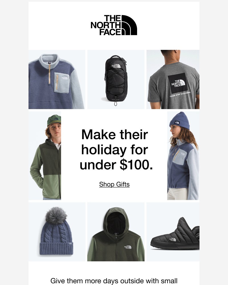 Screenshot of email sent to a The North Face Newsletter subscriber