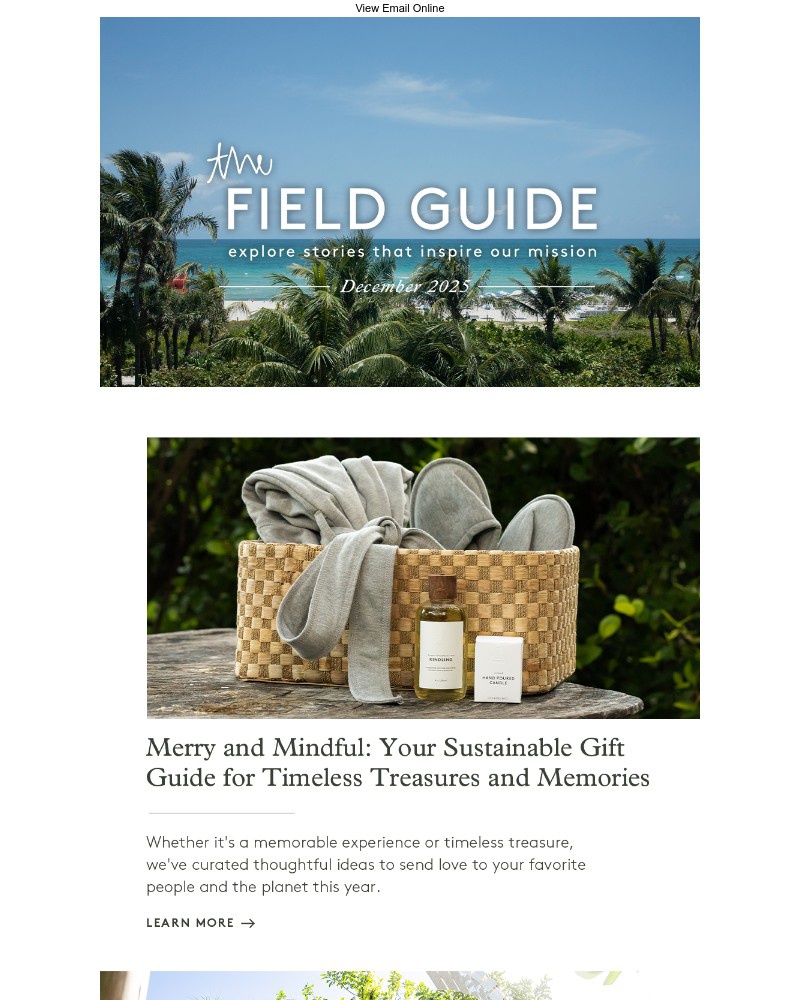 Screenshot of email with subject /media/emails/gifts-with-purpose-winter-experiences-that-inspire-eb5e36-cropped-ed420dd7.jpg