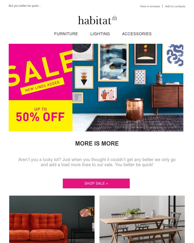 Screenshot of email with subject /media/emails/gimme-more-100s-of-new-lines-added-to-our-sale-cropped-8a3509d4.jpg