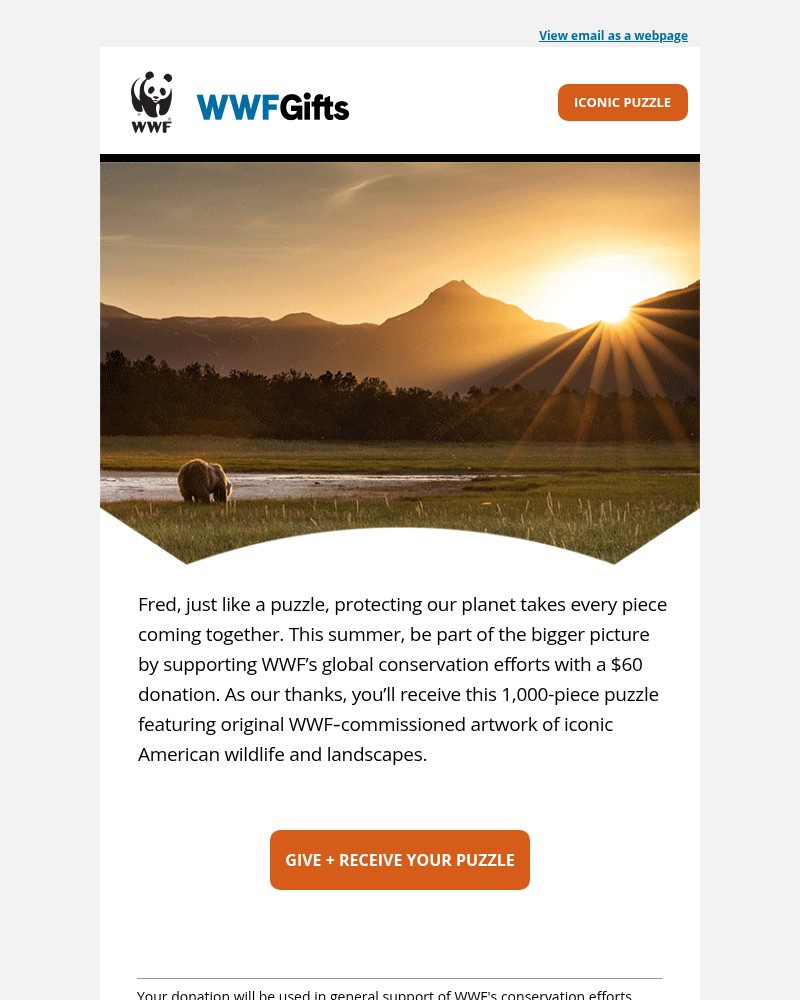 Screenshot of email with subject /media/emails/give-and-receive-your-iconic-usa-puzzle-e3bfaf-cropped-167beed7.jpg