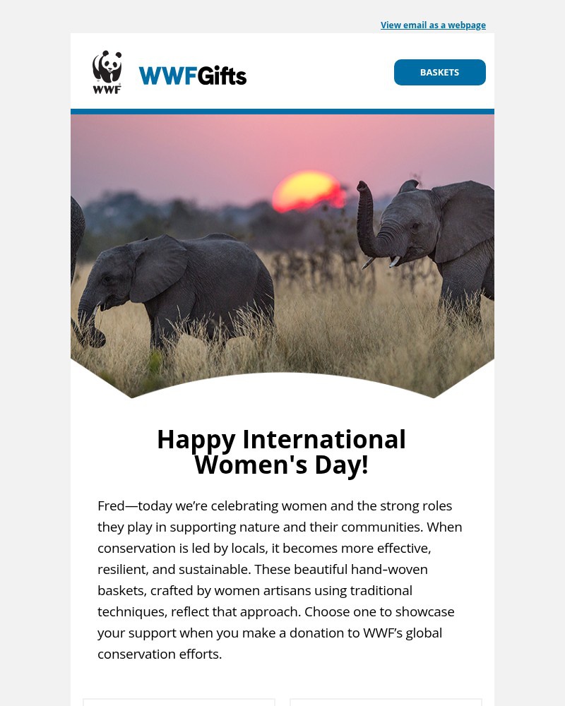Screenshot of email sent to a World Wildlife Fund Newsletter subscriber