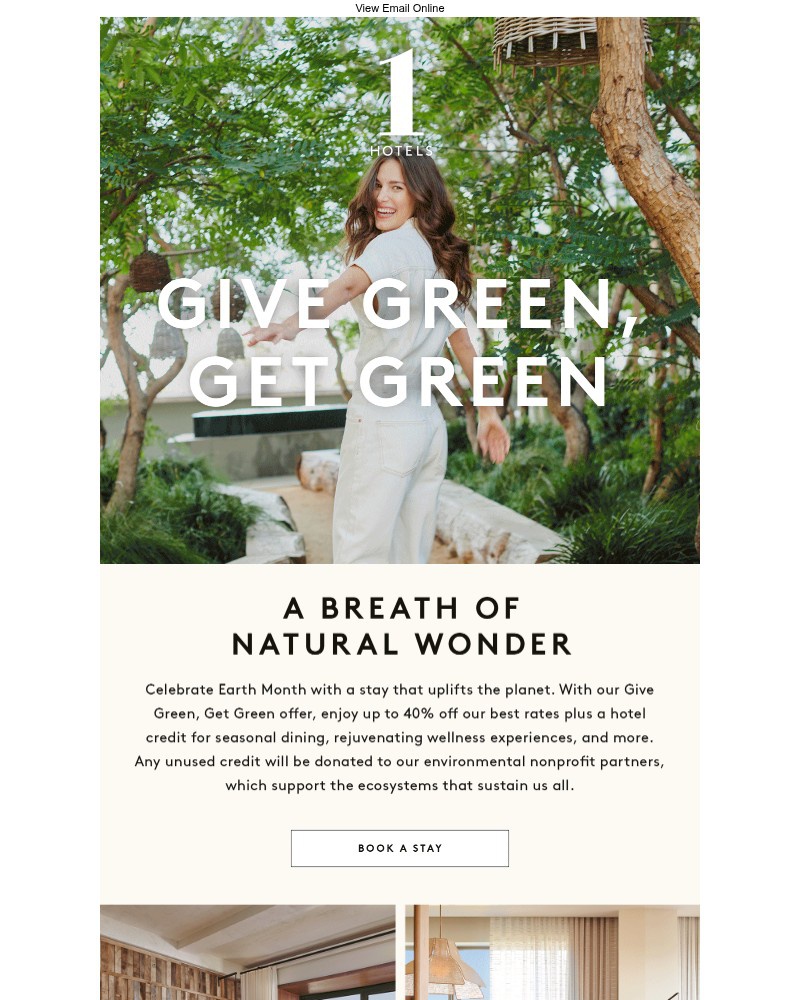 Screenshot of email with subject /media/emails/give-green-get-green-e32b91-cropped-8ae18a8d.jpg