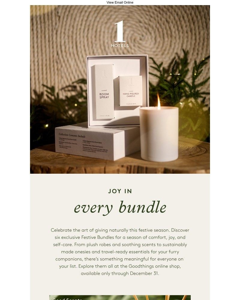 Screenshot of email with subject /media/emails/give-the-gift-of-1-hotels-08eb83-cropped-227b99bd.jpg