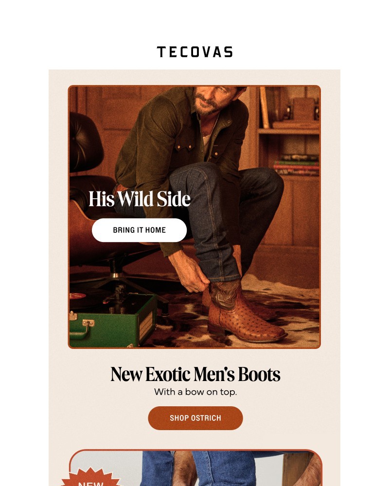 Screenshot of email with subject /media/emails/give-the-gift-of-exotics-17c4bb-cropped-926d3819.jpg