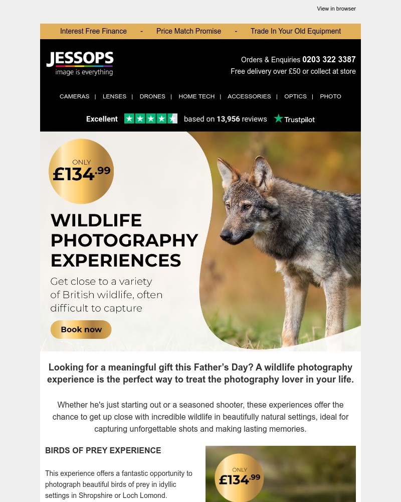 Screenshot of email with subject /media/emails/give-the-gift-of-experience-this-fathers-day-54f959-cropped-80f6cfac.jpg