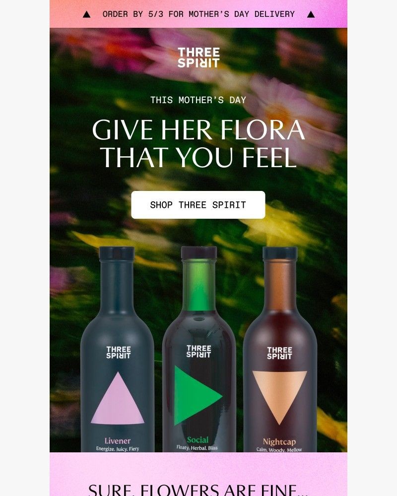 Screenshot of email sent to a Three Spirit Newsletter subscriber