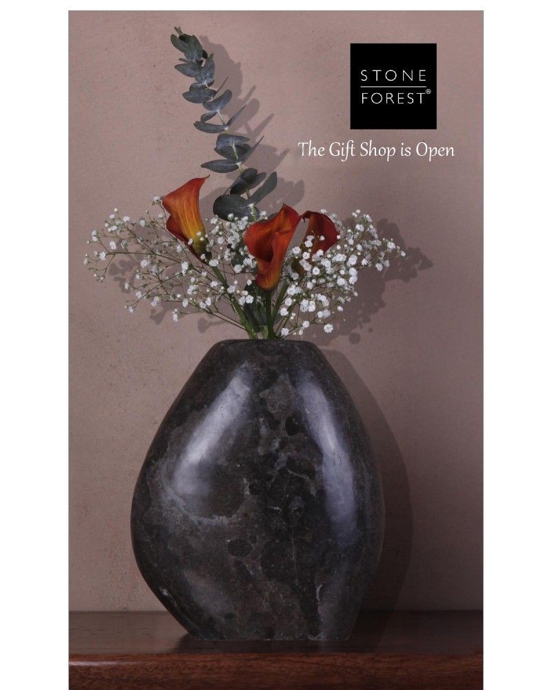 Screenshot of email sent to a Stone Forest Cart abandoner