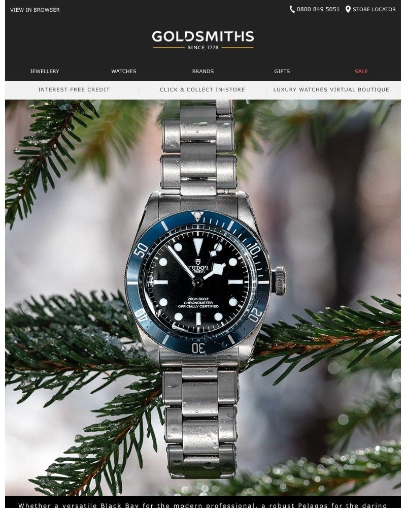 Screenshot of email with subject /media/emails/give-the-gift-of-tudor-now-available-online-and-for-home-delivery-f171d8-cropped-70601fc8.jpg