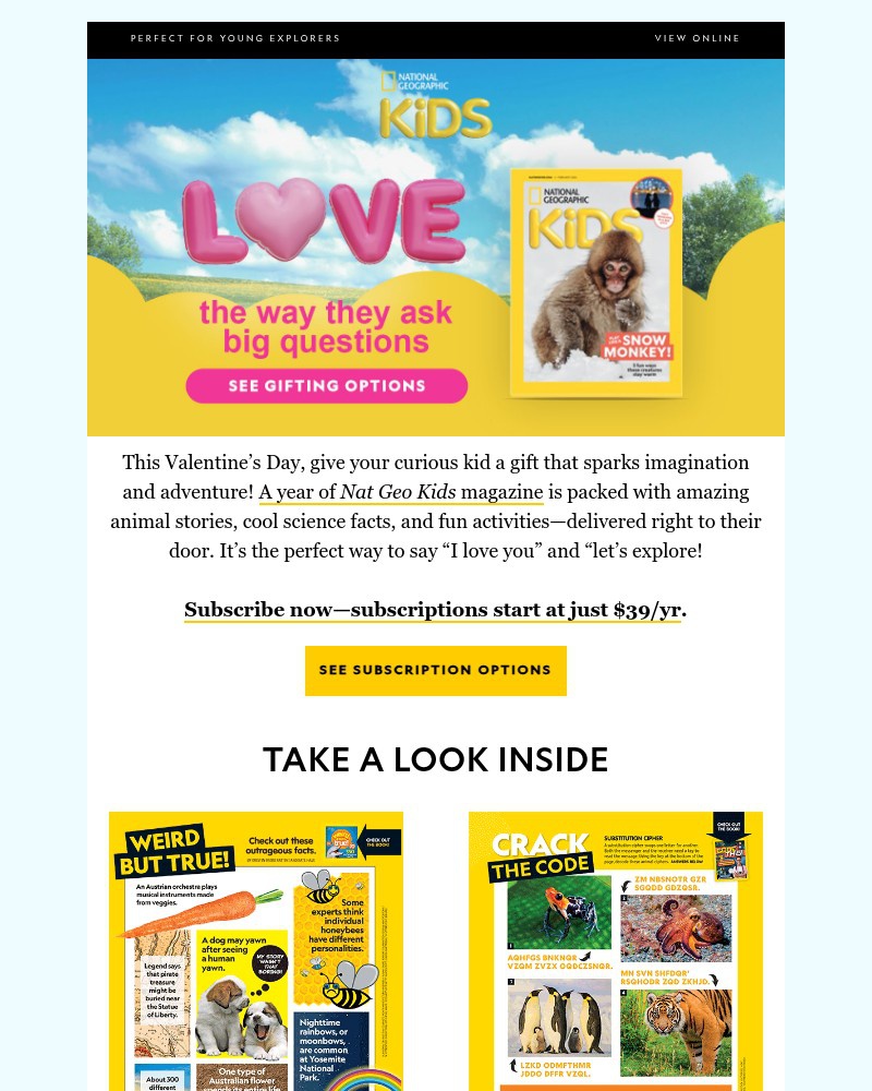 Screenshot of email with subject /media/emails/give-them-something-to-love-all-year-just-39yr-7ed937-cropped-f588024c.jpg