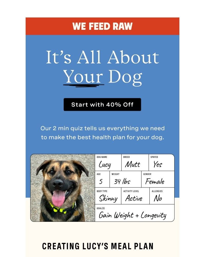 Screenshot of email sent to a We Feed Raw Newsletter subscriber