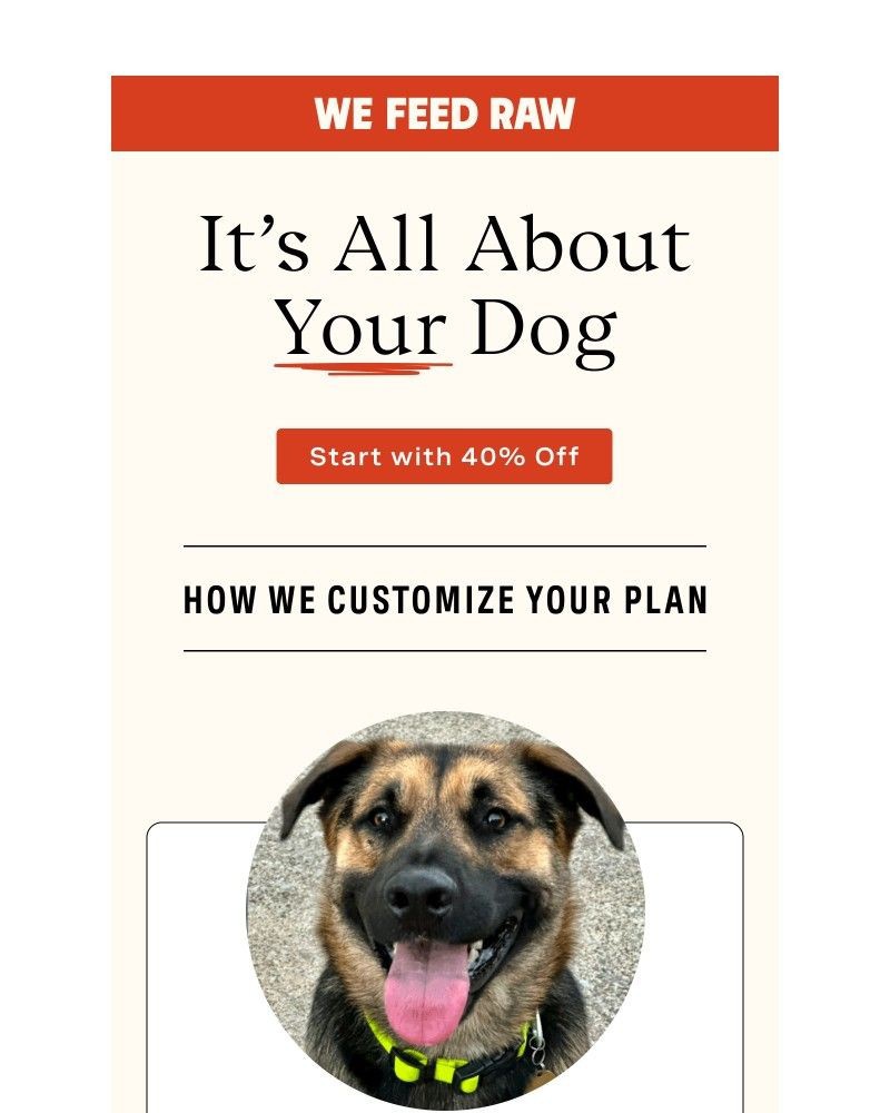 Screenshot of email with subject /media/emails/give-us-the-tea-on-your-pup-efc4d1-cropped-85b8ce2f.jpg