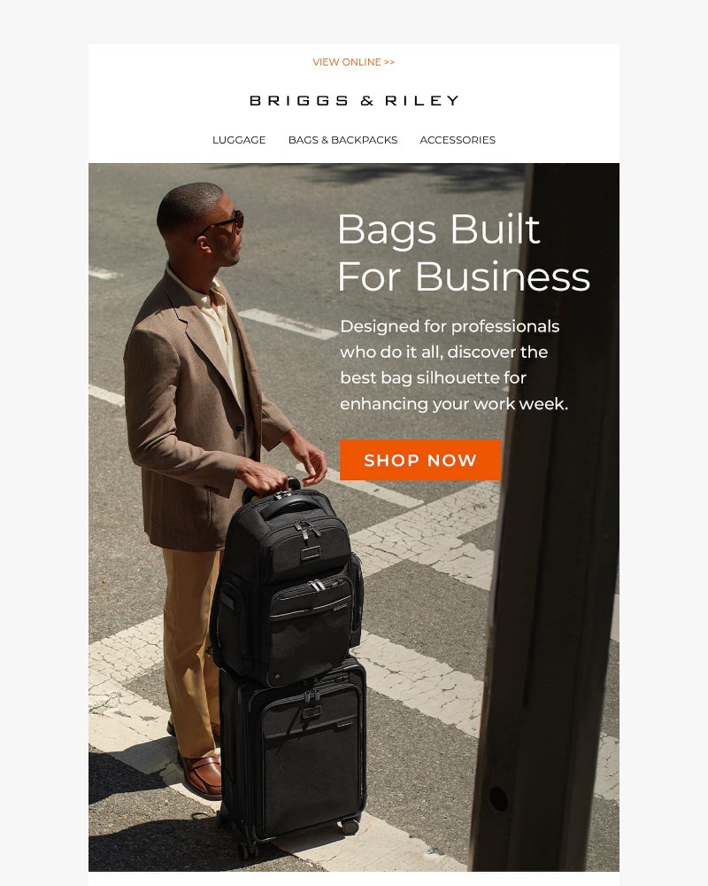 Screenshot of email sent to a Briggs & Riley Newsletter subscriber