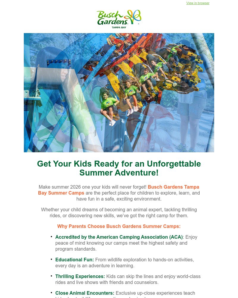 Screenshot of email with subject /media/emails/give-your-kids-a-2026-summer-adventure-book-busch-gardens-camps-today-eb0c69-crop_smjDGid.jpg