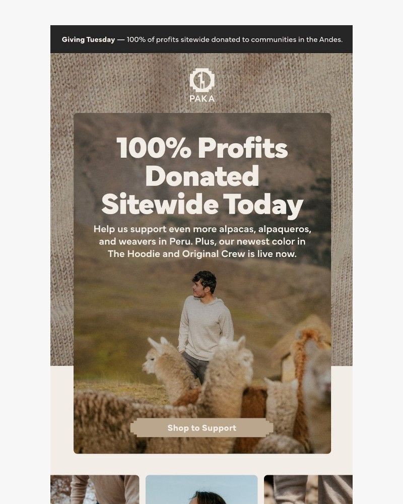 Screenshot of email with subject /media/emails/giving-tuesday-100-of-profits-donated-sitewide-09469d-cropped-7539b15e.jpg