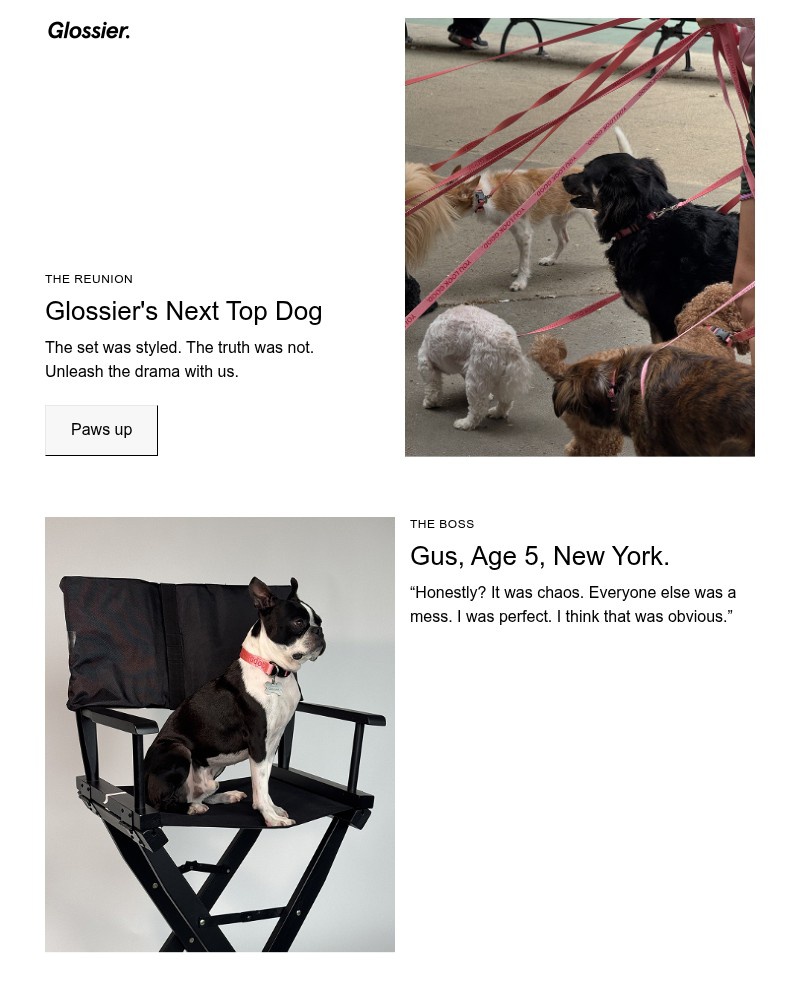 Screenshot of email with subject /media/emails/glossiers-next-top-dog-the-reunion-f5f1d6-cropped-52456d99.jpg