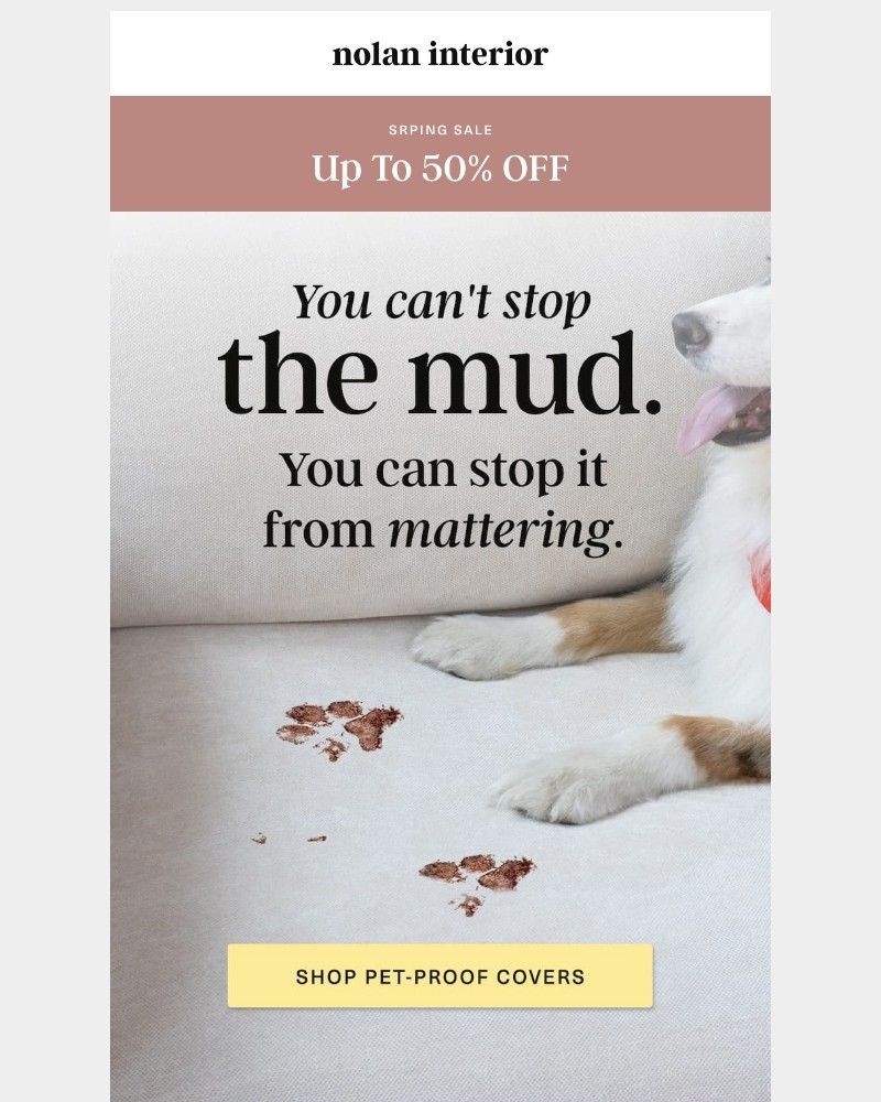 Screenshot of email with subject /media/emails/go-ahead-let-them-on-the-couch-e6f6a5-cropped-da9af09e.jpg