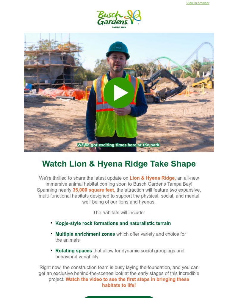 Screenshot of email sent to a Busch Gardens Newsletter subscriber