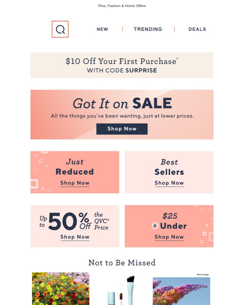 Screenshot of email with subject /media/emails/go-for-a-scroll-new-sale-picks-33ea51-cropped-7a68cfc8.jpg