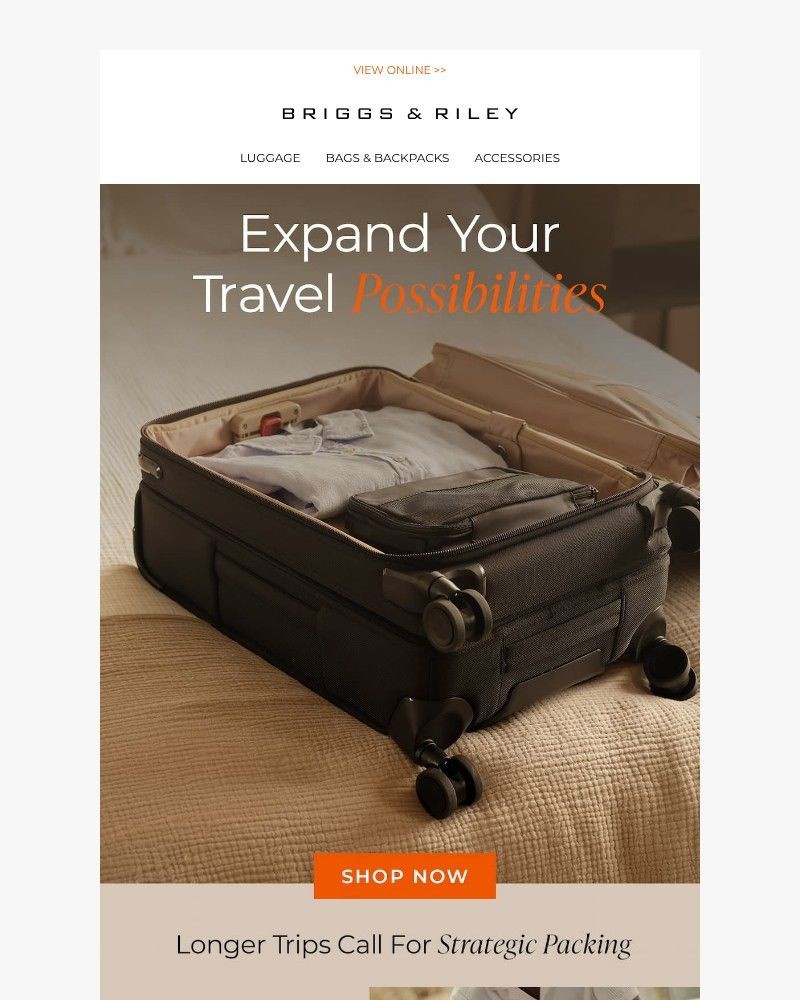 Screenshot of email sent to a Briggs & Riley Newsletter subscriber