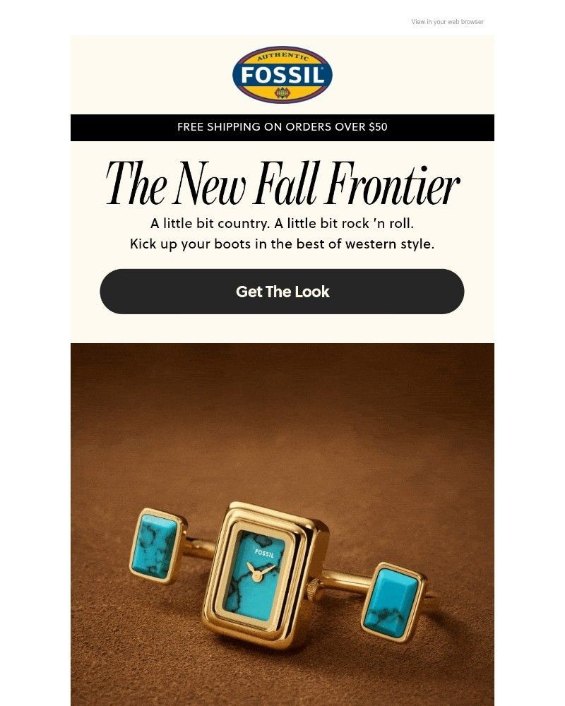 Screenshot of email with subject /media/emails/go-western-1cac31-cropped-d8a8d72d.jpg