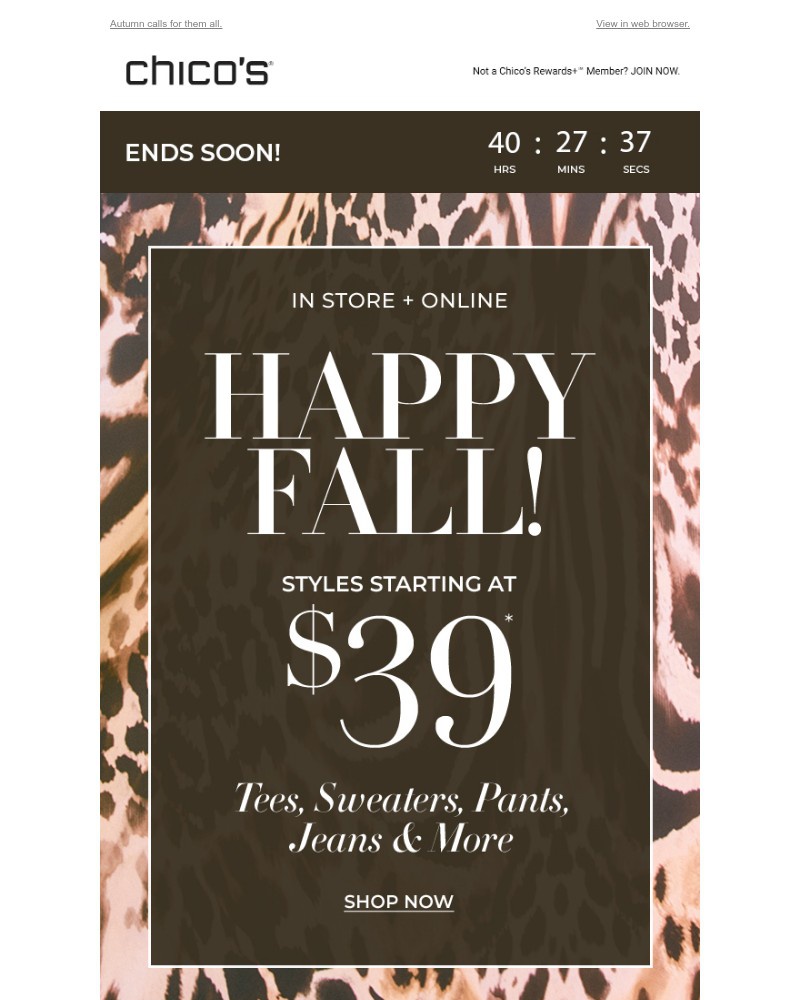 Screenshot of email with subject /media/emails/go-wild-39-fall-styles-ends-soon-337ffb-cropped-d9af799e.jpg