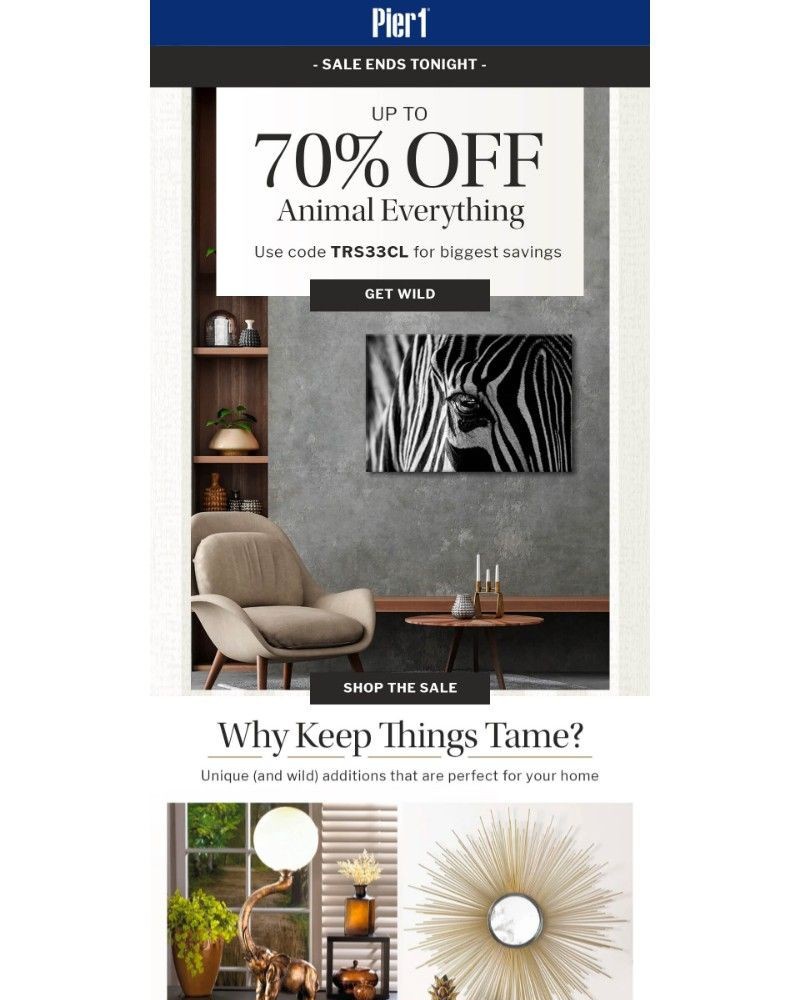 Screenshot of email with subject /media/emails/go-wild-with-our-savings-up-to-75-off-5-hours-left-2eb5bc-cropped-5f6ca878.jpg