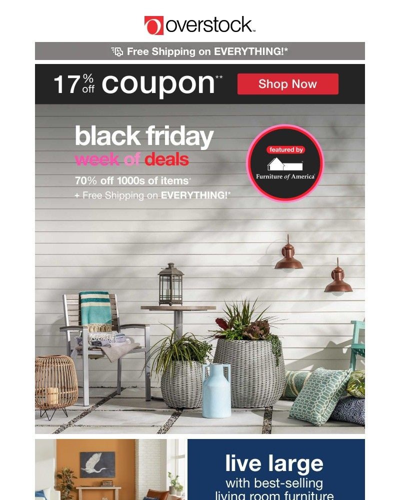 Screenshot of email with subject /media/emails/going-fast-early-black-friday-deals-no-store-fronts-or-price-fronts-just-great-de_00fYc1J.jpg